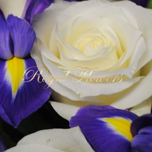 Rožės su irisais