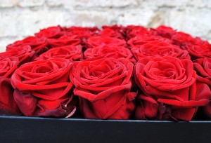Raudonos rožės dėžutėje
