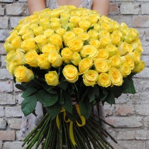 101 geltonų rožių puokštė